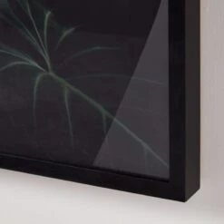 'Ama + Zonia Untitled VII' Framed Photographic Print By Fabian Albertini 62''x42'' -Optimal Furniture Store AmaZoniaUntitldVII62x42AV3SHF22