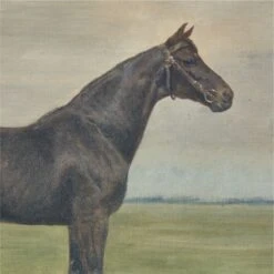 Black Horse' Framed Oil Painting Reproduction 18''x22'' -Optimal Furniture Store BlackHorse18x22inAVSHF22