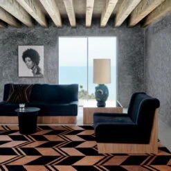 Onca Black Throw Pillow With Down-Alternative Insert 23" -Optimal Furniture Store CB2FA21 KD 1A 0217 OC21 1x1 1