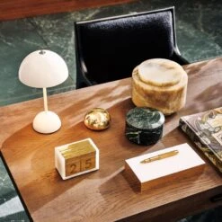 Dew Brass Paper Weight -Optimal Furniture Store CB2HOL22 23D V3