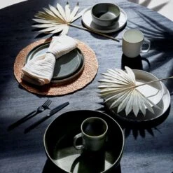 Drift Green Dinner Plate With Reactive Glaze -Optimal Furniture Store CB2SP22 39C V2 RET 3