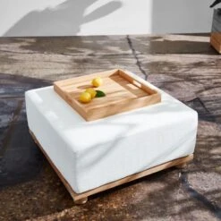 Giacomo Teak Decorative Tray -Optimal Furniture Store CB2SU23 RC PR 002