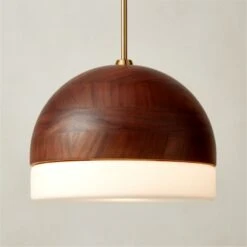 Capistrano Brass Pendant Light 14" -Optimal Furniture Store CapistranoPndntLight14inAVSHS22