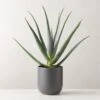 Faux Potted Aloe Vera Plant 26"
