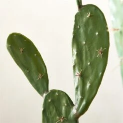 Faux Potted Cactus Plant 4'9'' -Optimal Furniture Store FauxPottedCactus4p9inAVSHS23