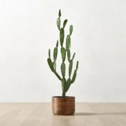 Faux Potted Cactus Plant 4'9'' -Optimal Furniture Store FauxPottedCactus4p9inROS23