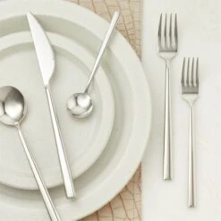 Galileo 5-Piece Polished Silver Flatware Set -Optimal Furniture Store GalileoShnySlvr5PcPlcStAVSHF23