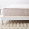 Helix Birch Queen Organic Mattress