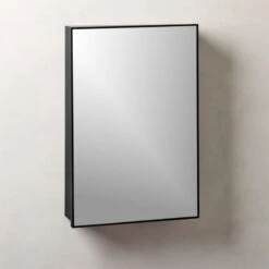 Infinity Black Medicine Cabinet 18"x27"