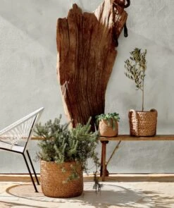 Optimal Furniture Store -Optimal Furniture Store IxtapaWhiteLoungeChairM20