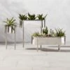 Lazo Stainless Steel Indoor/Outdoor Raised Planter Set Of 3