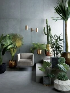 Potted Faux Cardón Cactus 5' -Optimal Furniture Store MaraisShadowGreyVelvetArmchairJN19