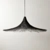 Pipa Black Pendant Light