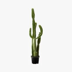 Potted Faux Cardón Cactus 5' -Optimal Furniture Store PottedCactus60AVS17