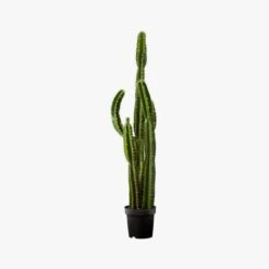 Potted Faux Cardón Cactus 5' -Optimal Furniture Store PottedCactus60S17