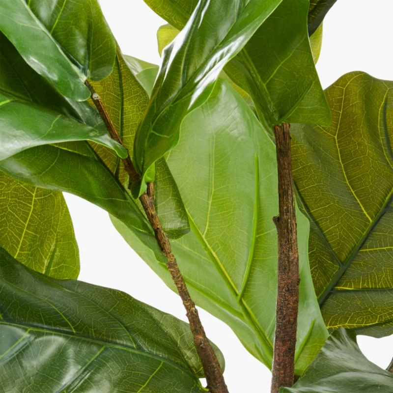 Potted Faux Fiddle Leaf Fig 5' 7 Potted Faux Fiddle Leaf Fig 5' - Image 7