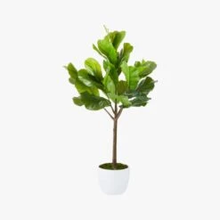Potted Faux Fiddle Leaf Fig 5' 11 Potted Faux Fiddle Leaf Fig 5' -Optimal Furniture Store PottedFiddleLeafFigF17