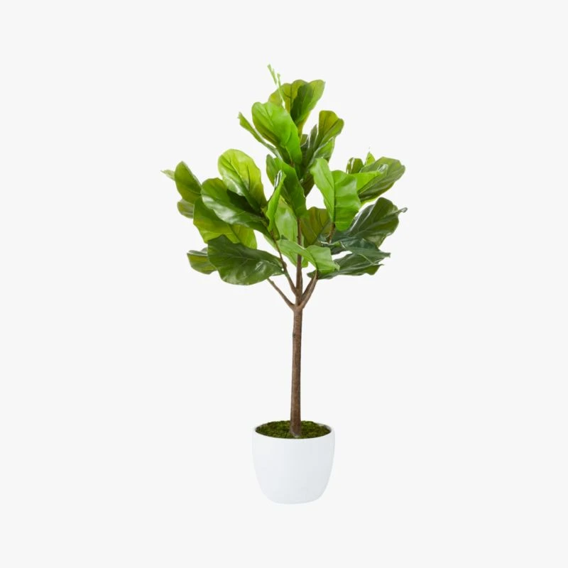 Potted Faux Fiddle Leaf Fig 5' 5 Potted Faux Fiddle Leaf Fig 5' - Image 5