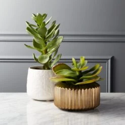 Potted Faux Succulent 14" -Optimal Furniture Store PottedSucculentGroupFHS18