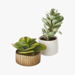 Potted Faux Succulent 14" -Optimal Furniture Store PottedSucculentGroupS18