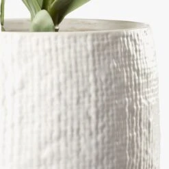 Potted Faux Succulent 14" -Optimal Furniture Store PottedSucculentWhitePotAVS18