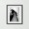 'Robert Smith Silhouette' Photographic Print In Black Frame 17.75''x21.75''