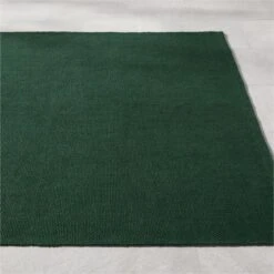 Rodes Performance Green Indoor/Outdoor Area Rug 5'x8' -Optimal Furniture Store RodesTxtdPrfmGrnRug8x10SHS23