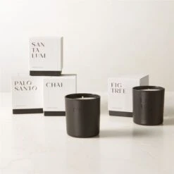 Stockhome Palo Santo Scented Candle 8oz -Optimal Furniture Store StockhomeCandleGroupFHF23